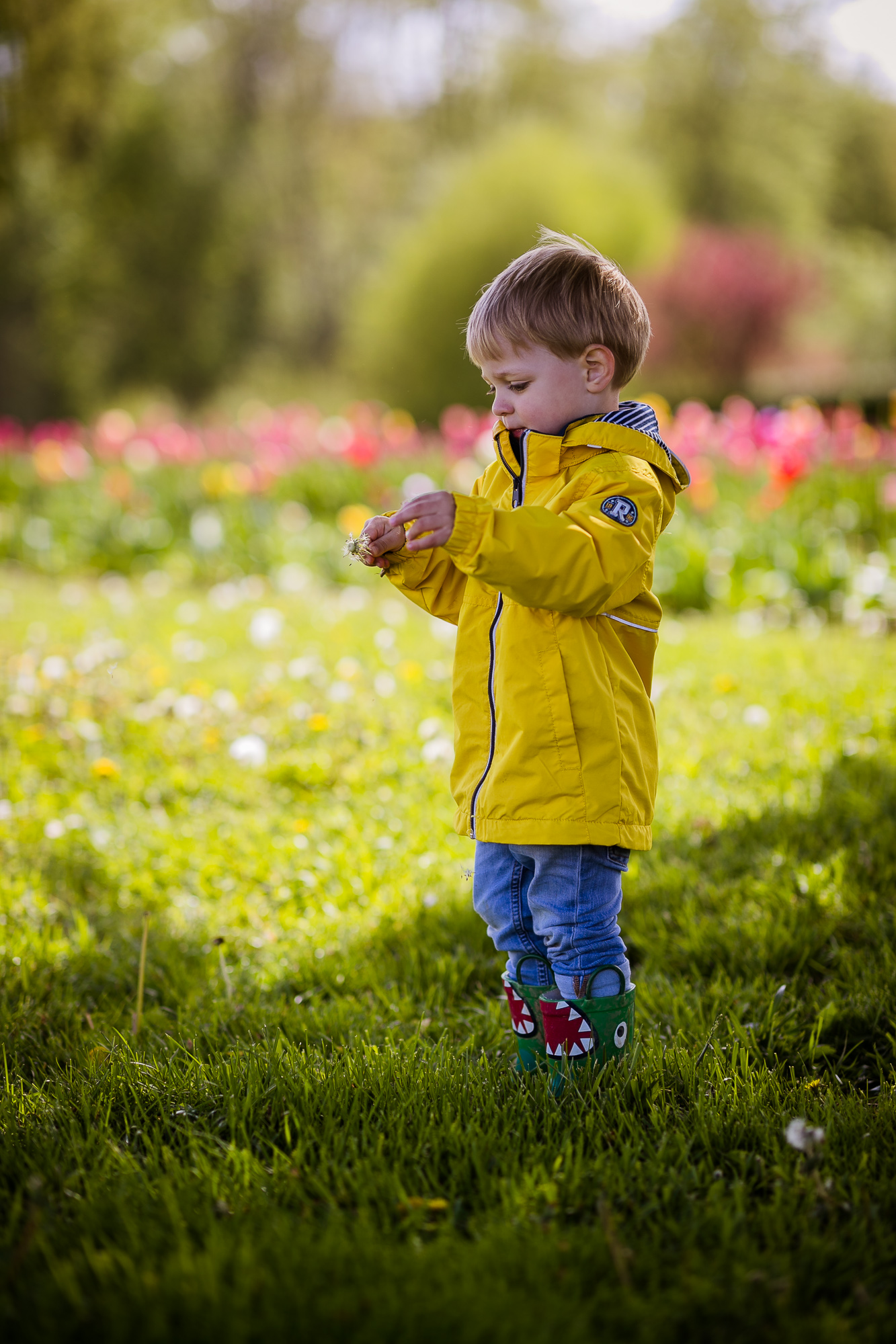 Export x3 1DX28282 Familienfotoshooting 2019 Hefti